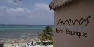 Hotel Arenas Mahahual
